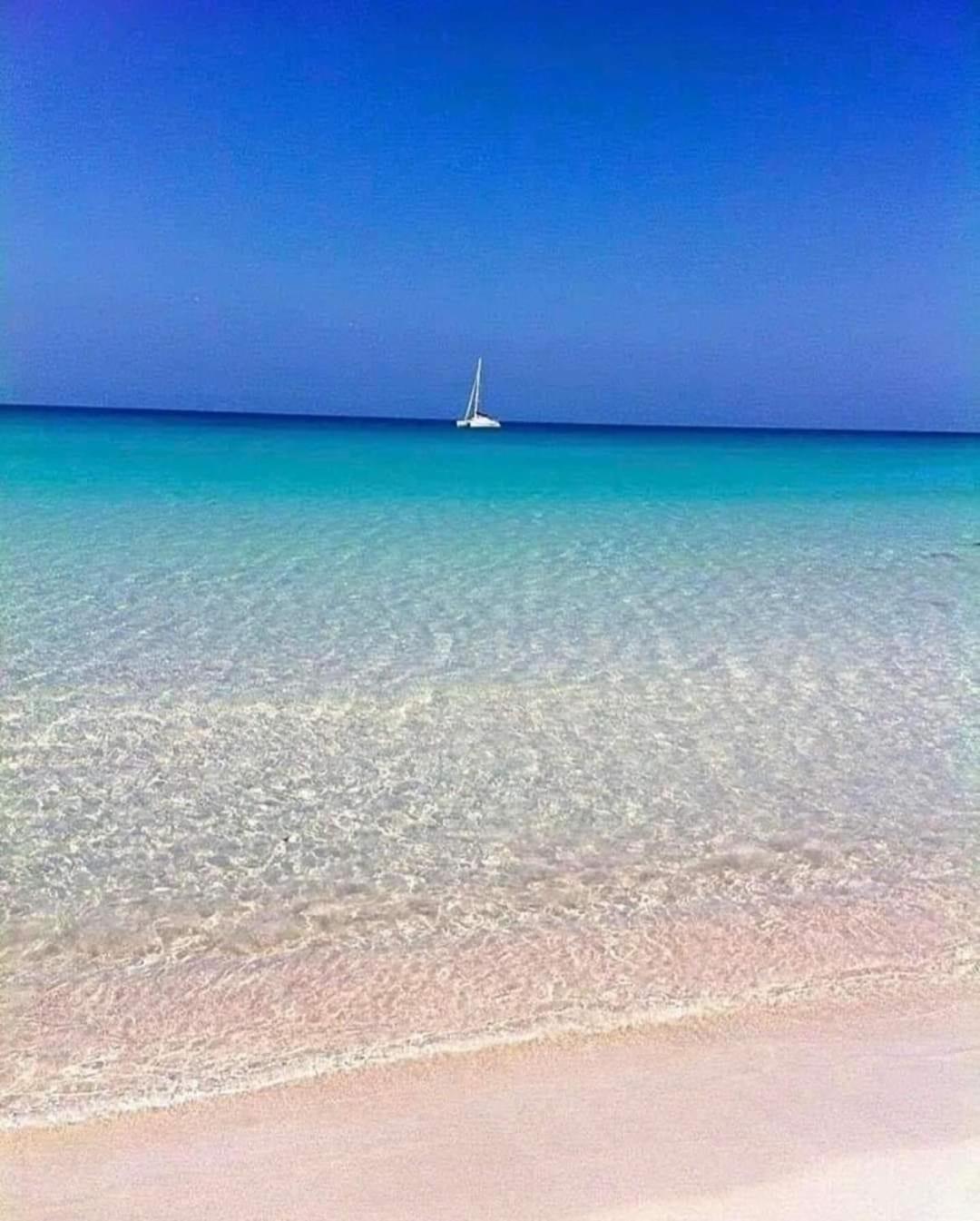 La Mimosa Case Vacanze 马尔萨拉 外观 照片